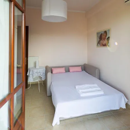 فيلة Anastasia *