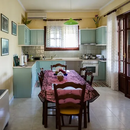 فيلة Anastasia *