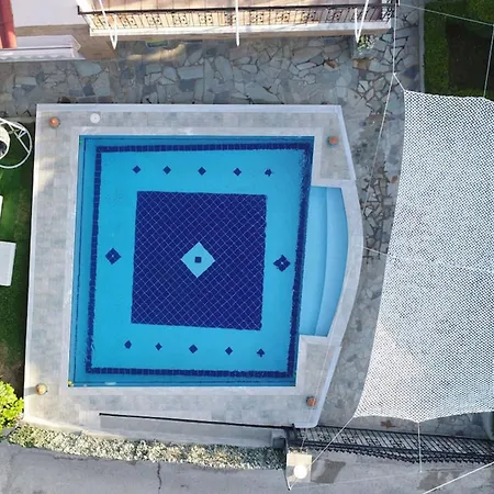 Anastasia فيلة *